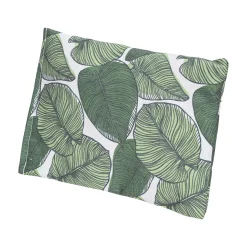 AniOne Coussin bruissant à l'herbe-à-chats