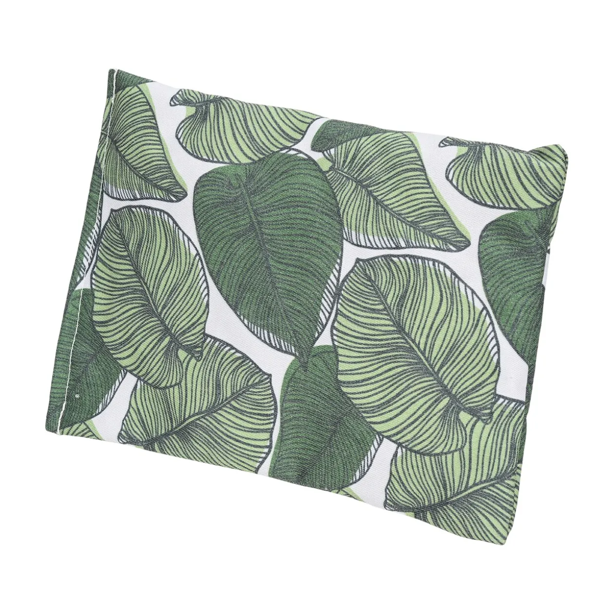 AniOne Coussin bruissant à l'herbe-à-chats