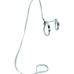 AniOne harnais avec laisse pour petits chats turquoise