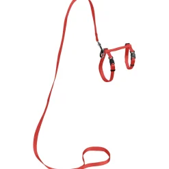 AniOne harnais avec laisse pour grand chat rouge