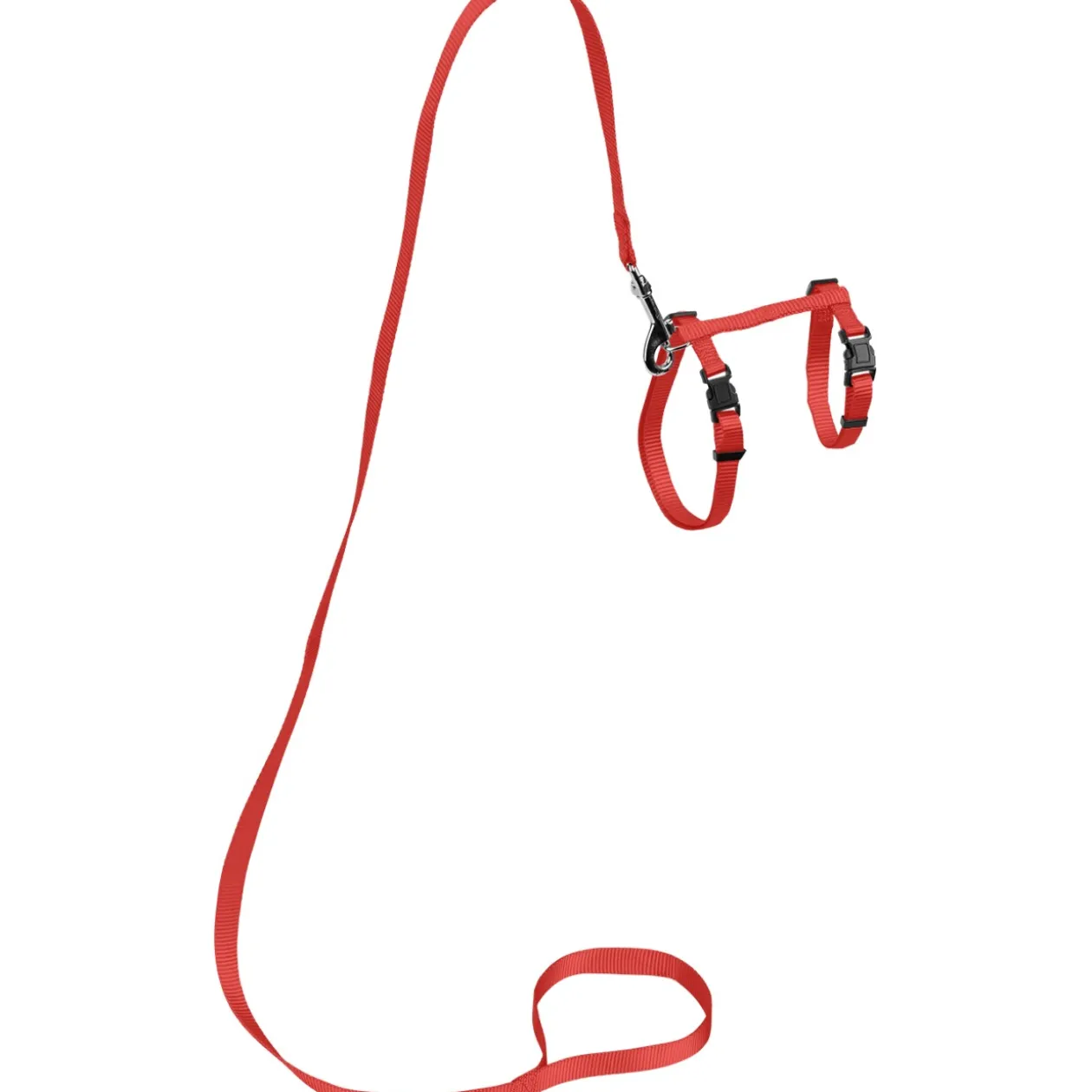 AniOne harnais avec laisse pour grand chat rouge