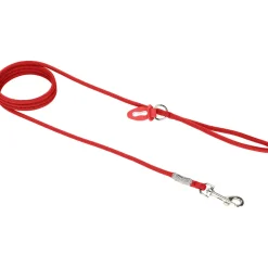 AniOne laisse pour petits chiens rouge S