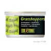 Exo Terra Sauterelles 34g