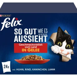 Felix Aussi bon que beau 24 x 85 g Variété de saveurs du pays