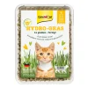 GimCat Herbe Hydro 150 g