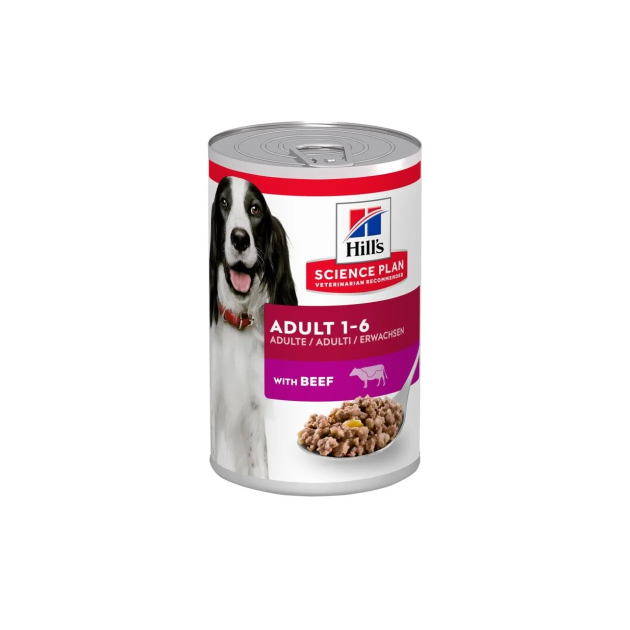 Hill's Science Plan Adulte 12 x 370g Bœuf