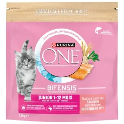 Purina ONE Croquettes Junior de 1 à 12 mois au Saumon 1,5 kg