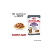 ROYAL CANIN Appetite Control Care 12 x 85 g