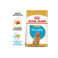 ROYAL CANIN BHN Poodle Puppy 3 kg