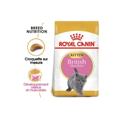 ROYAL CANIN British Shorthair Chaton Croquettes Chat 2 kg