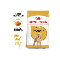 ROYAL CANIN Caniche Adulte Croquettes Chien 1,5 kg