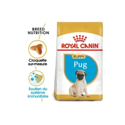 ROYAL CANIN Carlin Chiot Croquettes Chien 1,5 kg