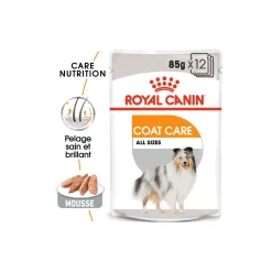 ROYAL CANIN Coat Care Adult Mousse 12x85 g
