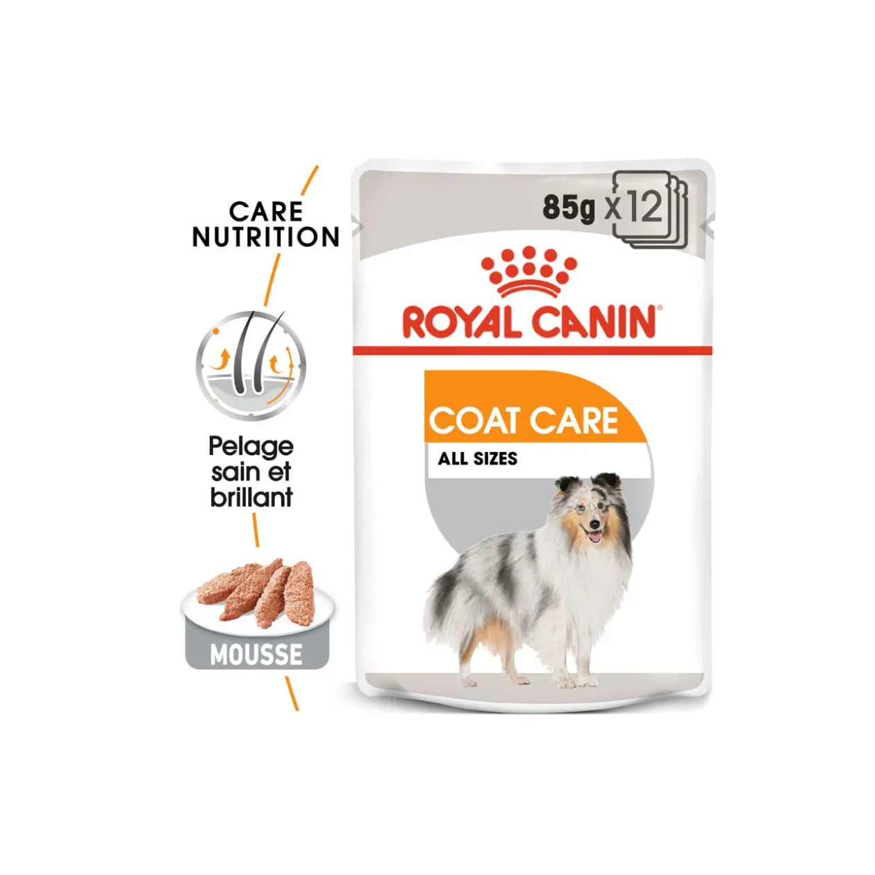 ROYAL CANIN Coat Care Adult Mousse 12x85 g