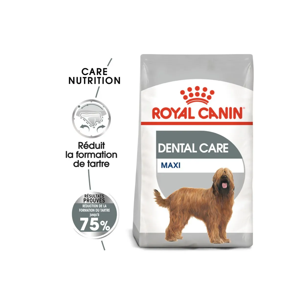 ROYAL CANIN Dental Care Maxi Croquettes Chien 9 kg