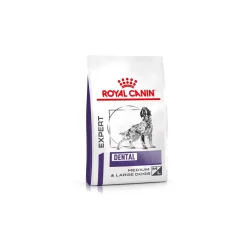 ROYAL CANIN Expert Dental Medium & Large Dogs 6 kg