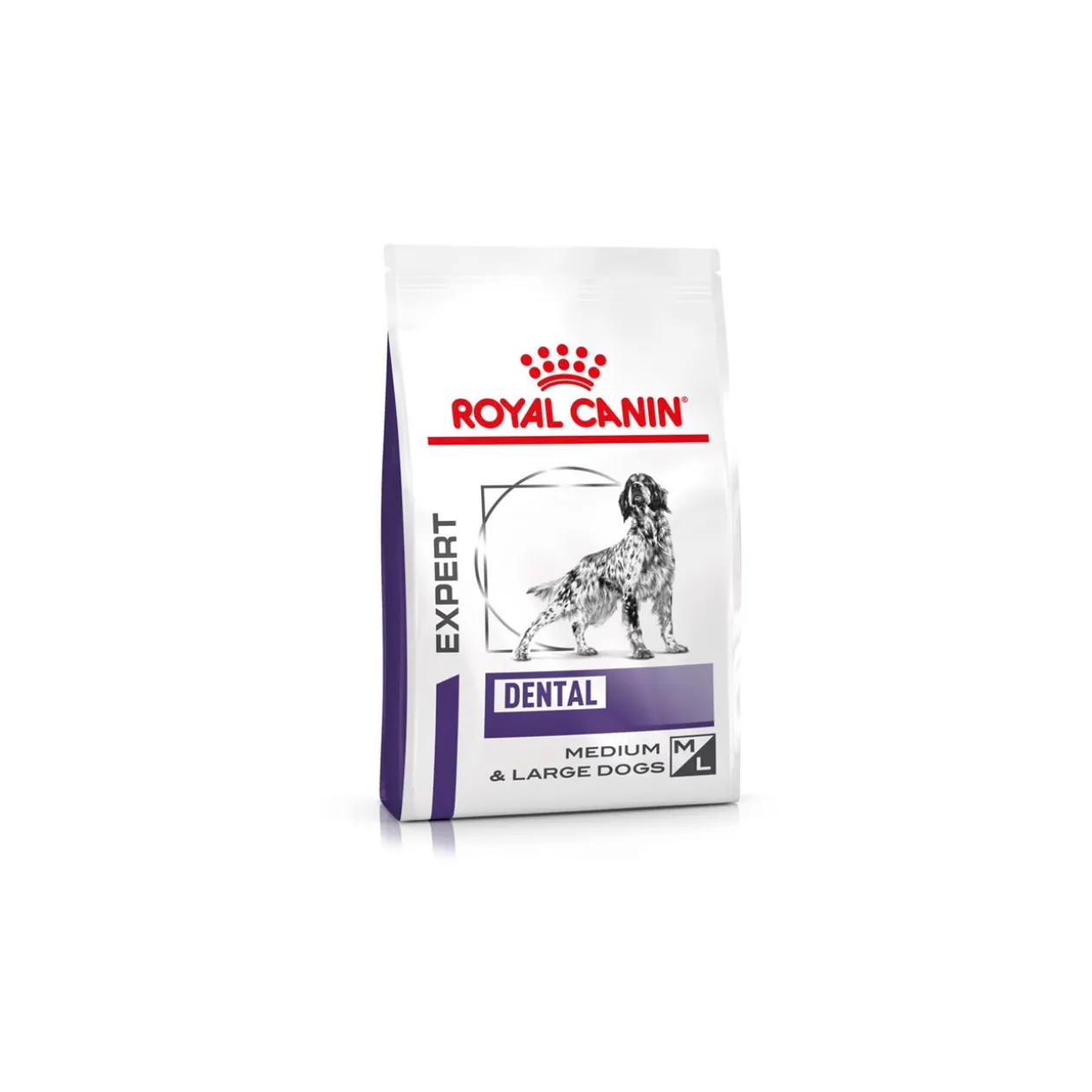 ROYAL CANIN Expert Dental Medium & Large Dogs 6 kg