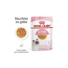 ROYAL CANIN Kitten en gelée 12x85 g