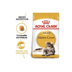 ROYAL CANIN Maine Coon Adulte Croquettes Chat 10 kg