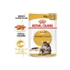 ROYAL CANIN Maine Coon Adult en sauce 12x85 g