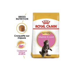 ROYAL CANIN Maine Coon Chaton Croquettes Chat 4 kg