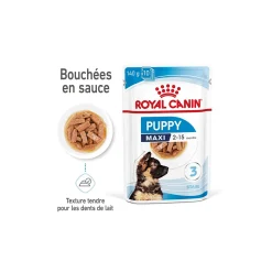 ROYAL CANIN Maxi Chiot Nourriture humide Chien 10 x 140 g