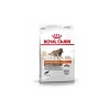 ROYAL CANIN ÉNERGIE 4300 (TRAIL) 15 kg