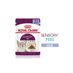 ROYAL CANIN Sensory Feel Nourriture humide Chat 12 x 85 g
