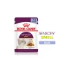 ROYAL CANIN Sensory Smell Nourriture humide Chat 12 x 85 g