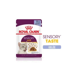 ROYAL CANIN Sensory Taste Nourriture humide Chat 12 x 85 g
