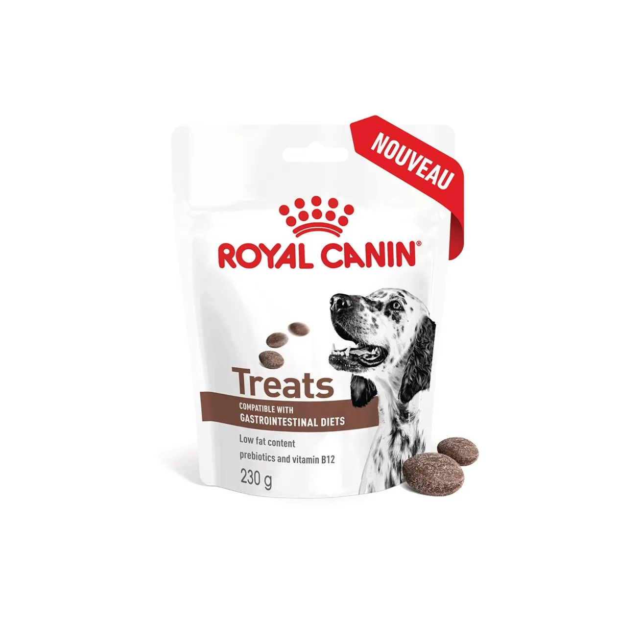 ROYAL CANIN Snacks Adulte, Gastro-intestinal