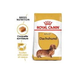 ROYAL CANIN Teckel Adulte Croquettes Chien 1,5 kg