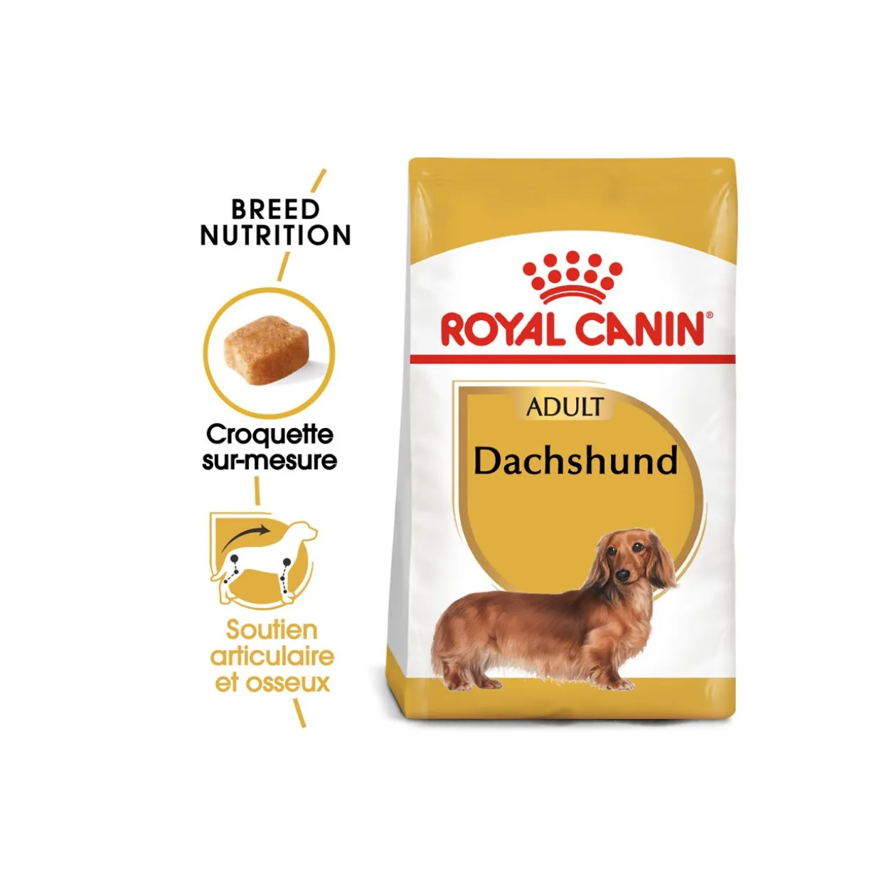 ROYAL CANIN Teckel Adulte Croquettes Chien 1,5 kg