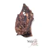 Wild & Fein Os de bassin de chevreuil déshydraté WIFE 1 pièce